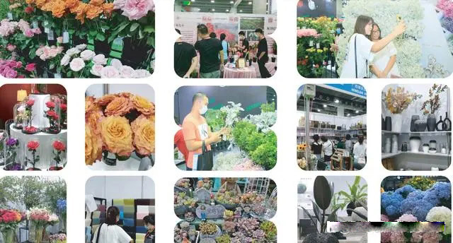 多图.jpg 多图.jpg