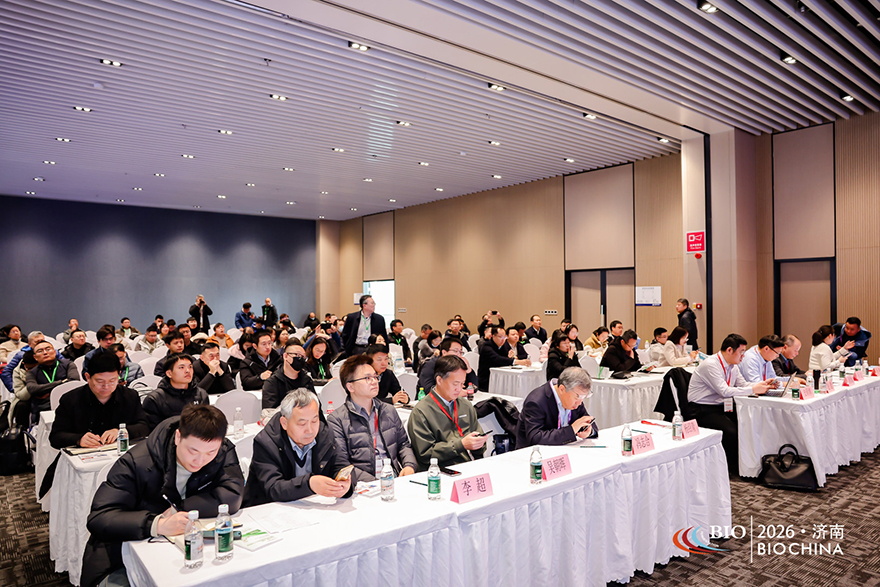 ����11.jpg